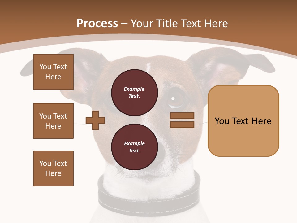 Funny Vet Spoon PowerPoint Template