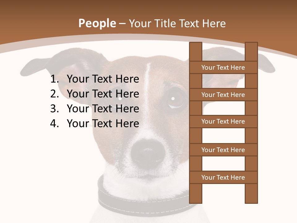 Funny Vet Spoon PowerPoint Template