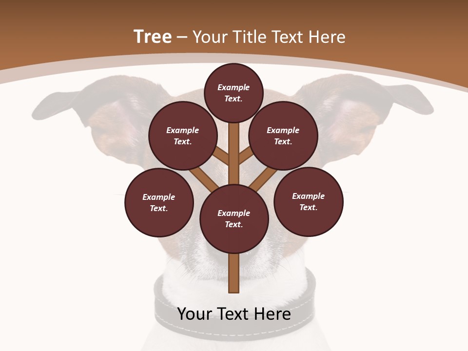 Funny Vet Spoon PowerPoint Template