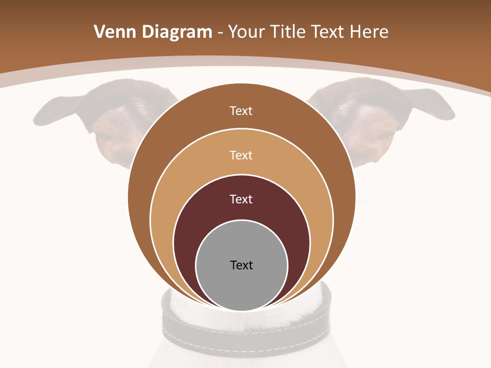 Funny Vet Spoon PowerPoint Template