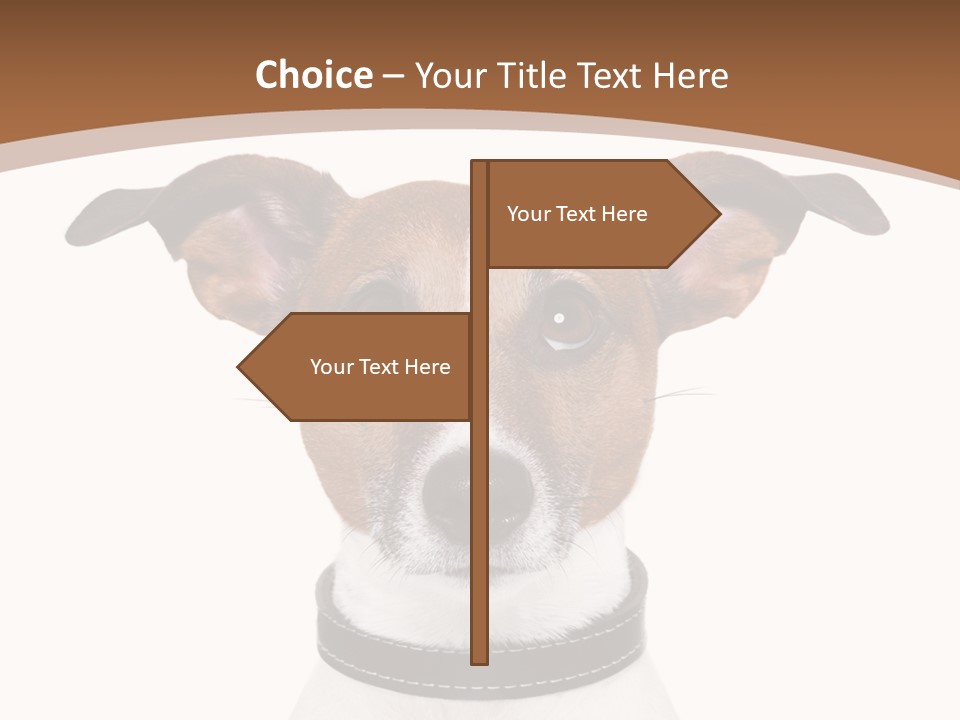 Funny Vet Spoon PowerPoint Template