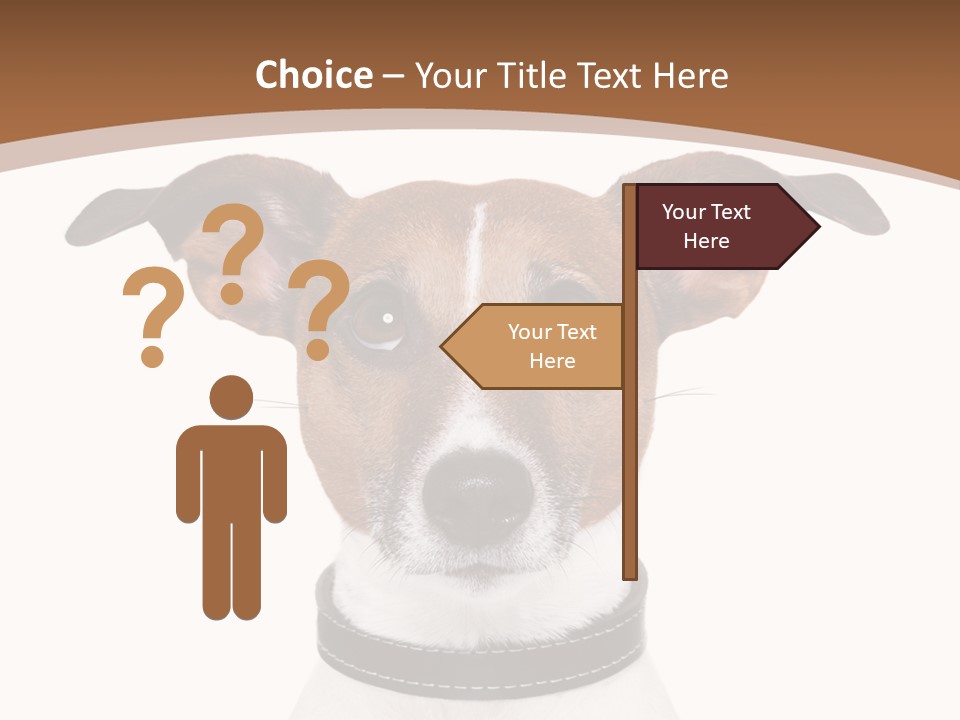 Funny Vet Spoon PowerPoint Template