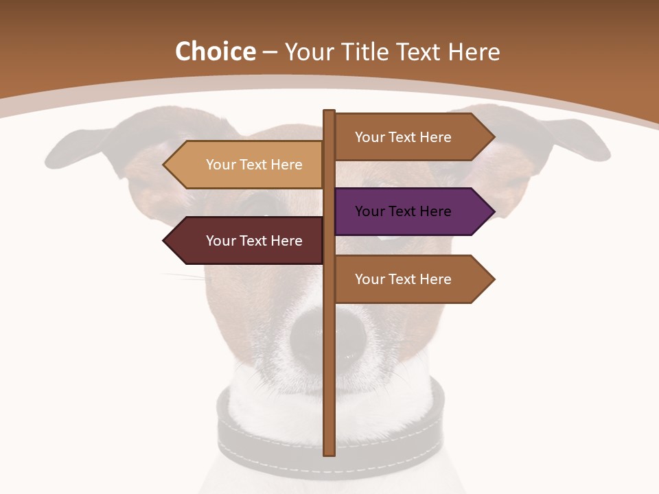 Funny Vet Spoon PowerPoint Template