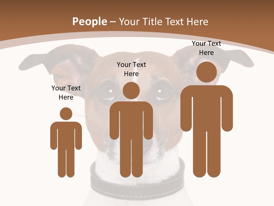 Funny Vet Spoon PowerPoint Template