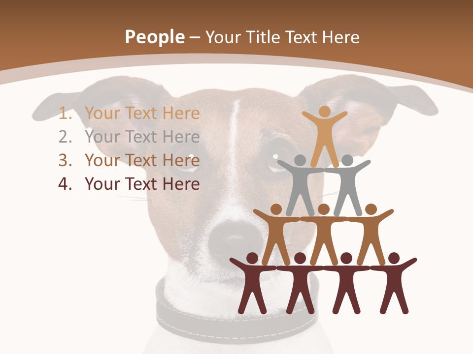 Funny Vet Spoon PowerPoint Template