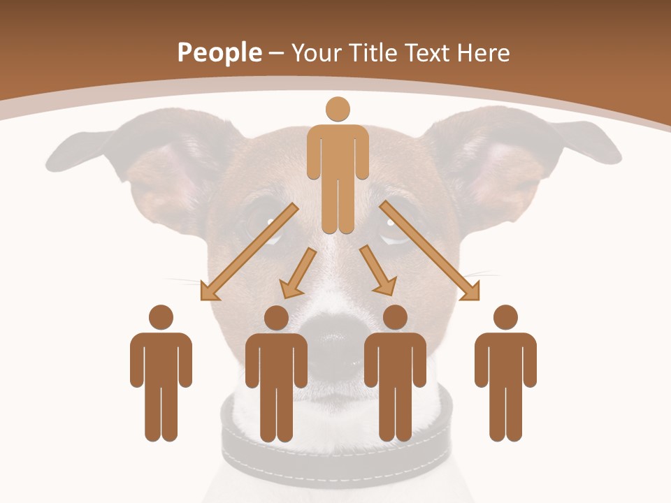 Funny Vet Spoon PowerPoint Template