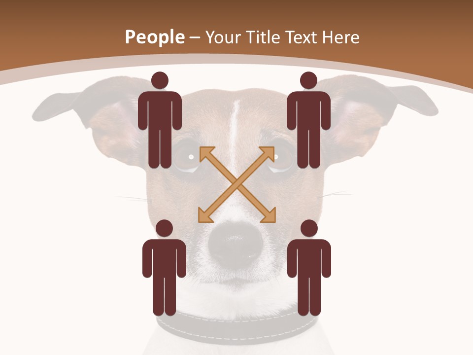 Funny Vet Spoon PowerPoint Template