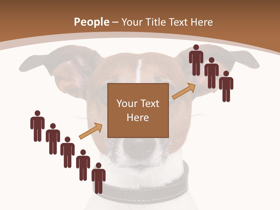 Funny Vet Spoon PowerPoint Template