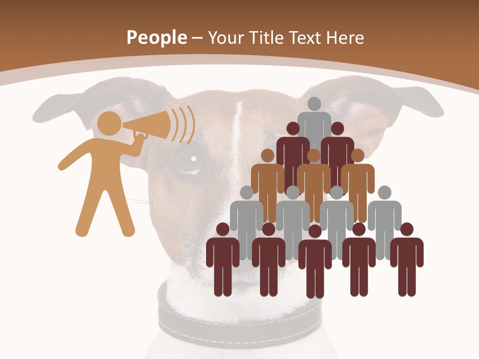 Funny Vet Spoon PowerPoint Template