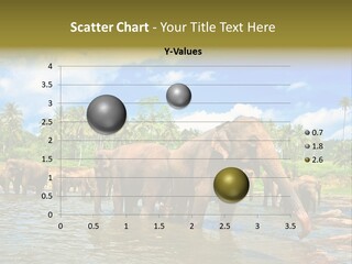 Strong Srilankan River PowerPoint Template