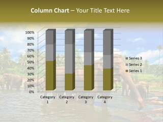 Strong Srilankan River PowerPoint Template