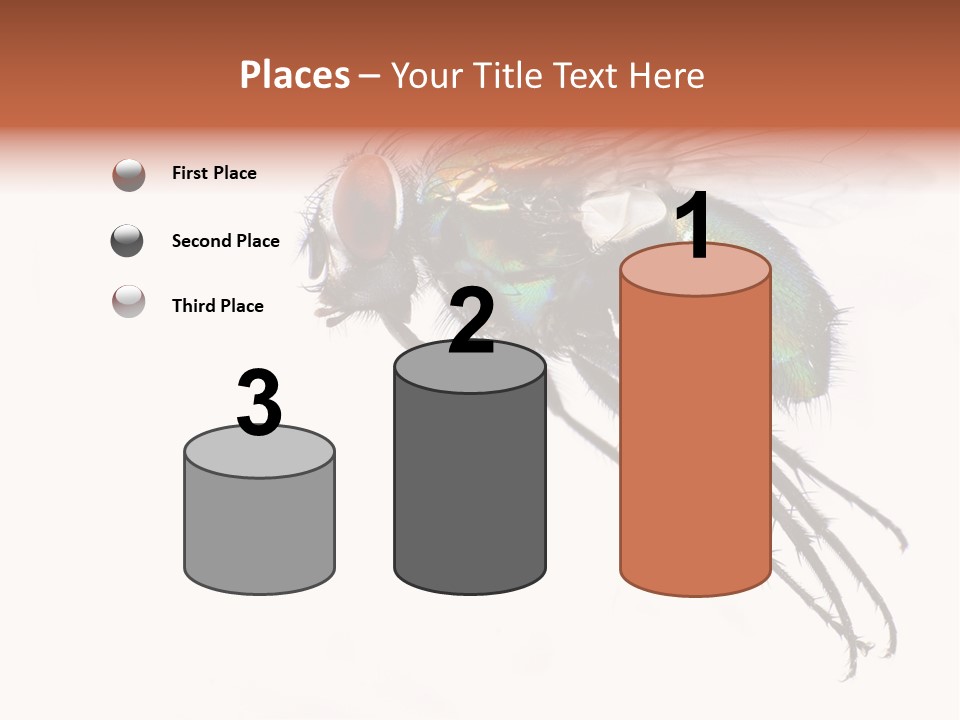 Freely Left Wing PowerPoint Template