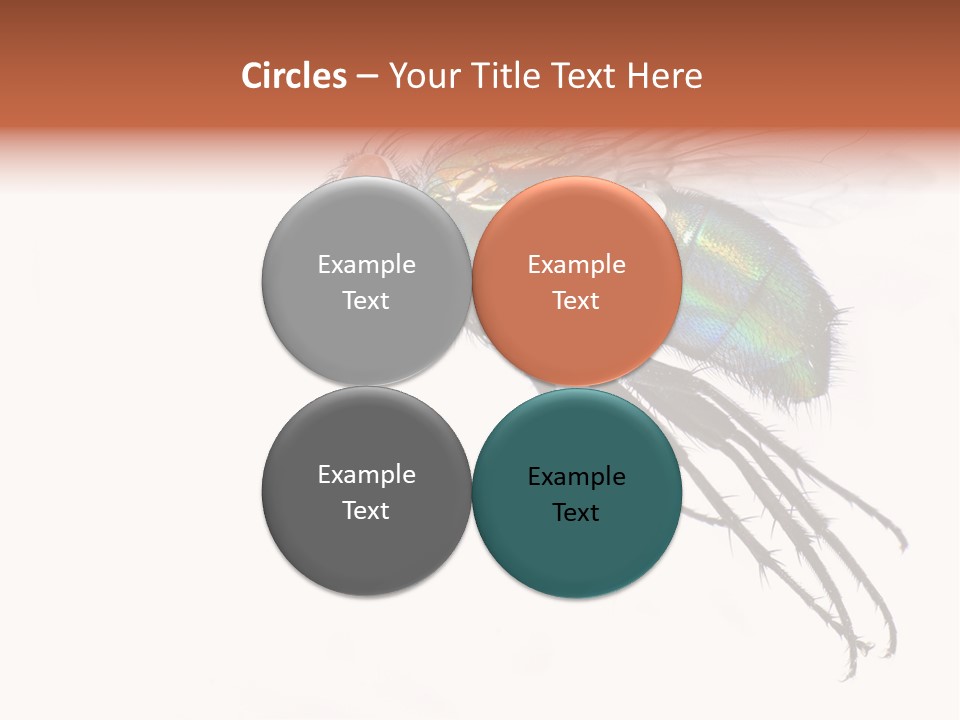 Freely Left Wing PowerPoint Template