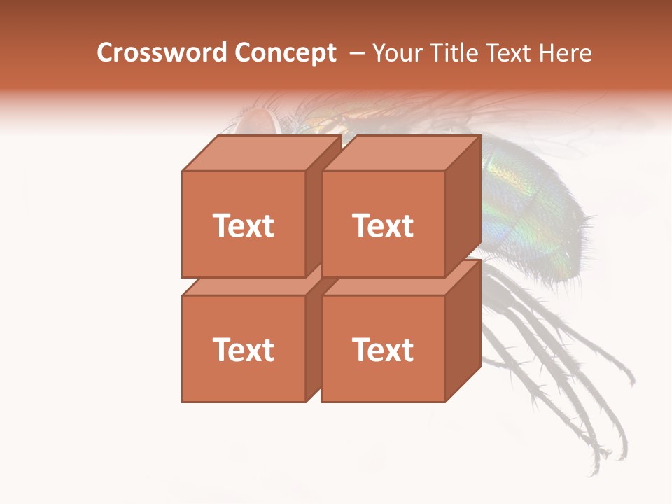 Freely Left Wing PowerPoint Template