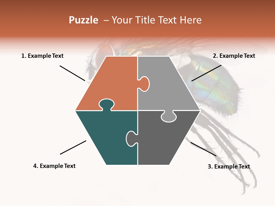 Freely Left Wing PowerPoint Template