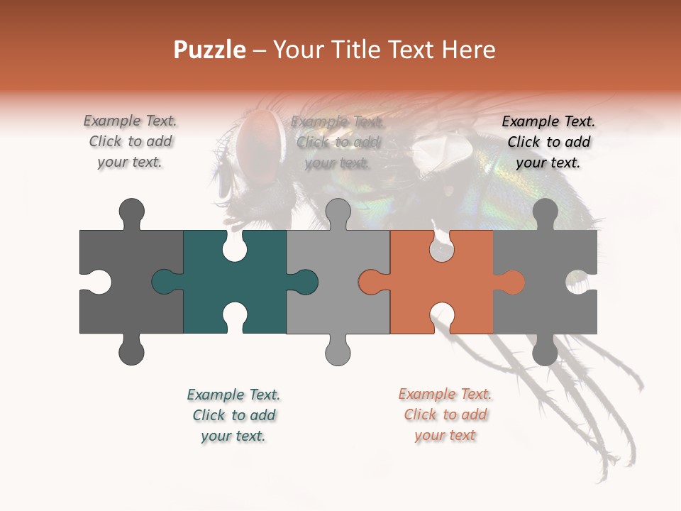 Freely Left Wing PowerPoint Template
