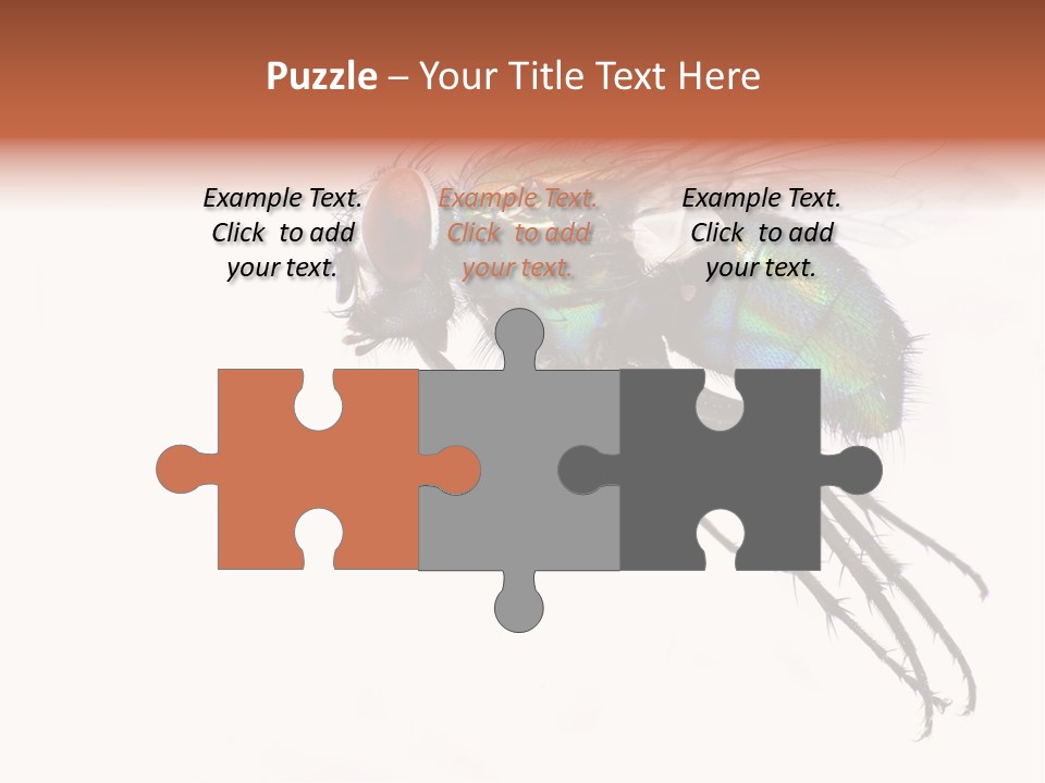 Freely Left Wing PowerPoint Template