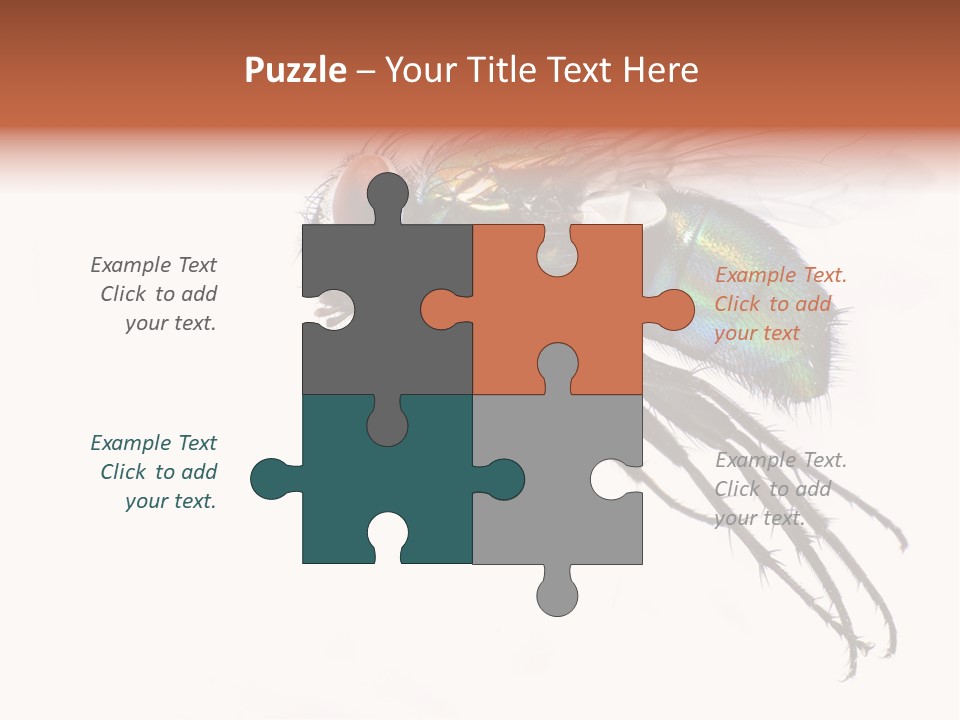 Freely Left Wing PowerPoint Template