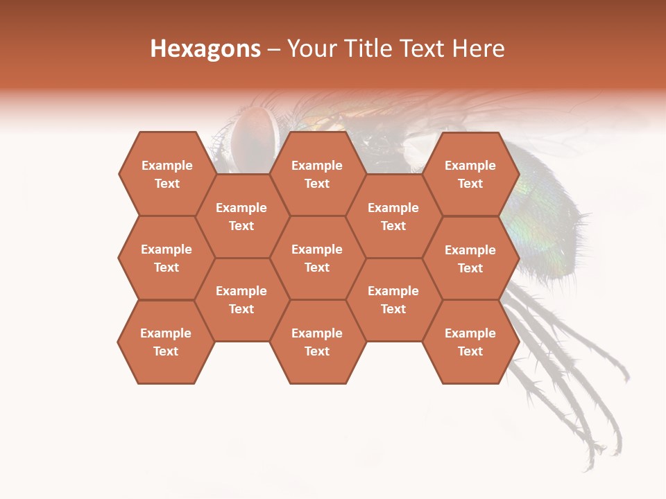 Freely Left Wing PowerPoint Template