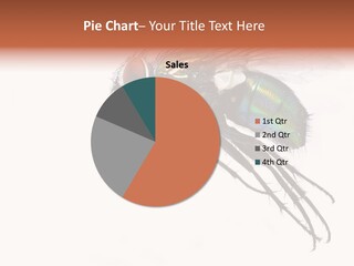 Freely Left Wing PowerPoint Template