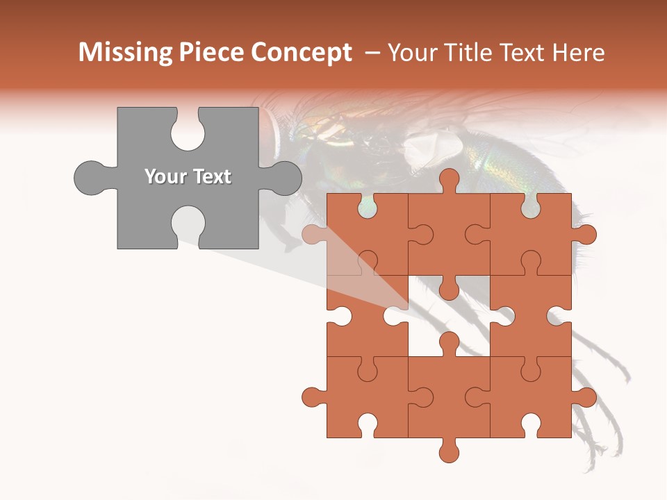 Freely Left Wing PowerPoint Template