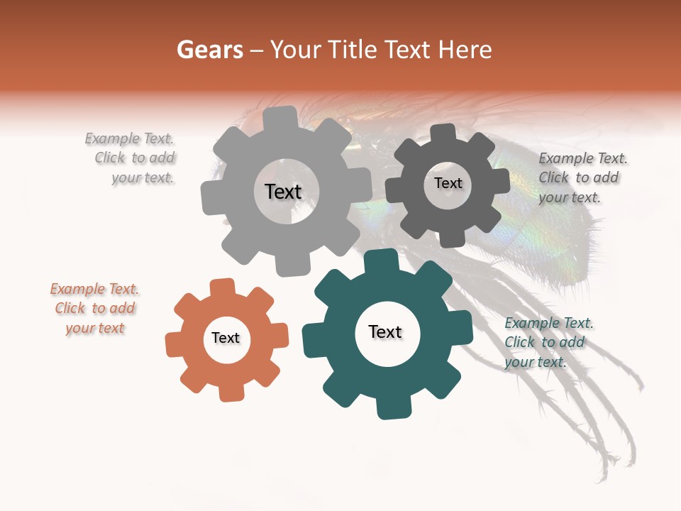 Freely Left Wing PowerPoint Template