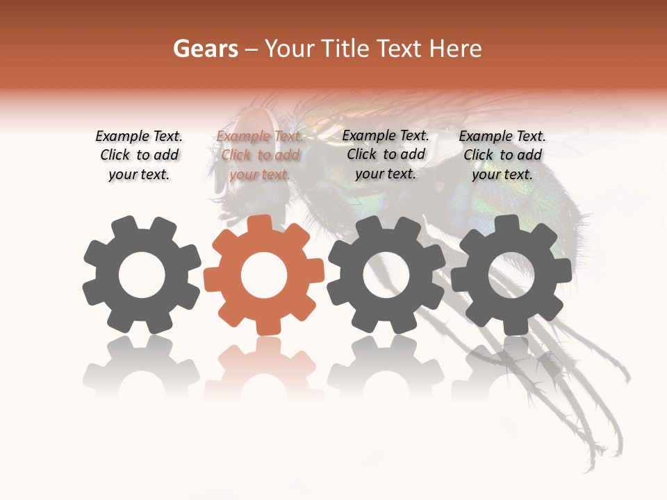 Freely Left Wing PowerPoint Template