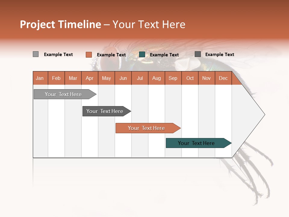 Freely Left Wing PowerPoint Template