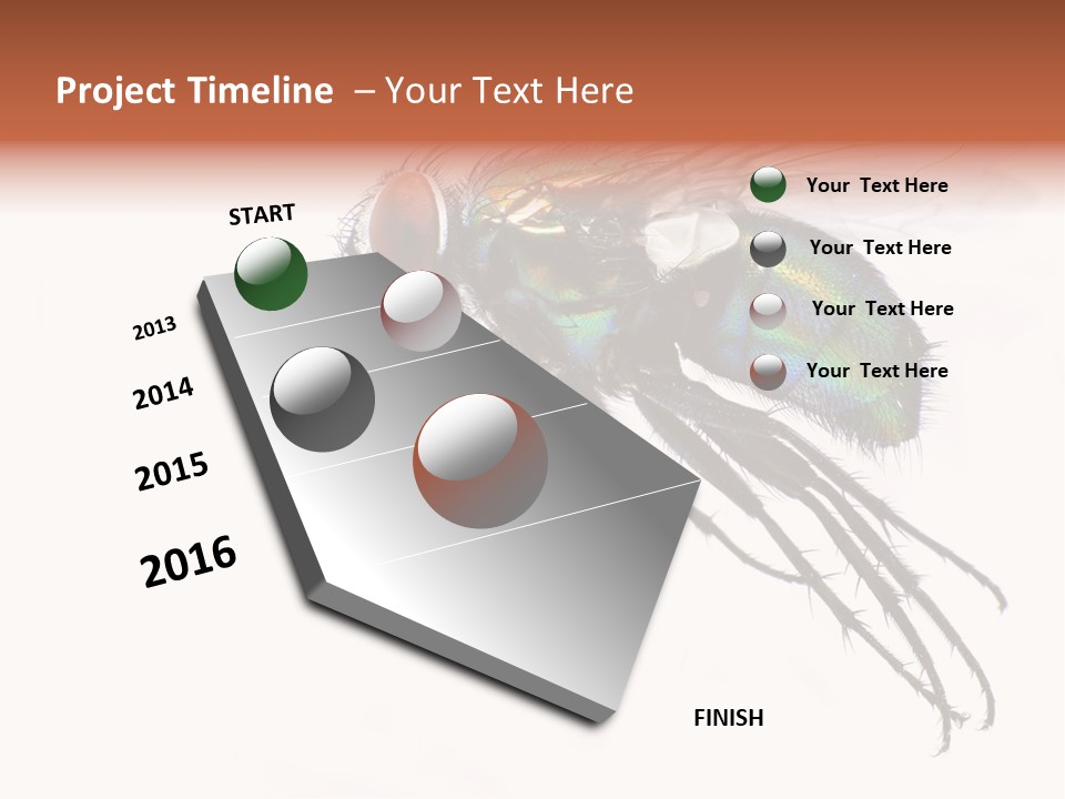 Freely Left Wing PowerPoint Template