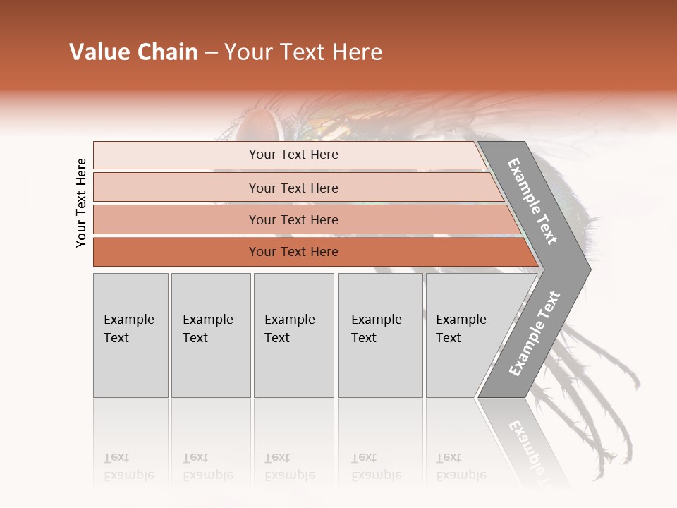 Freely Left Wing PowerPoint Template