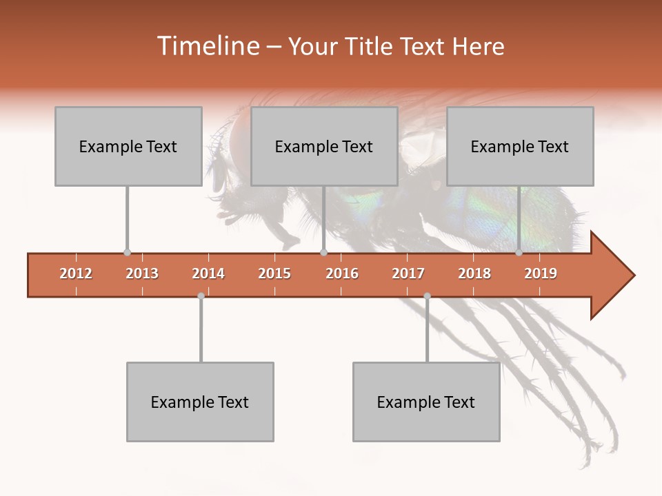 Freely Left Wing PowerPoint Template