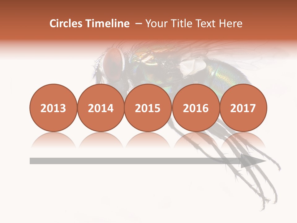 Freely Left Wing PowerPoint Template