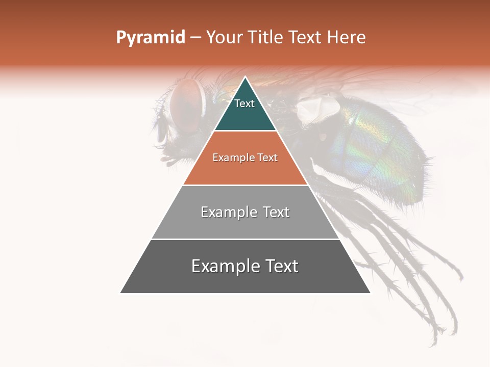 Freely Left Wing PowerPoint Template