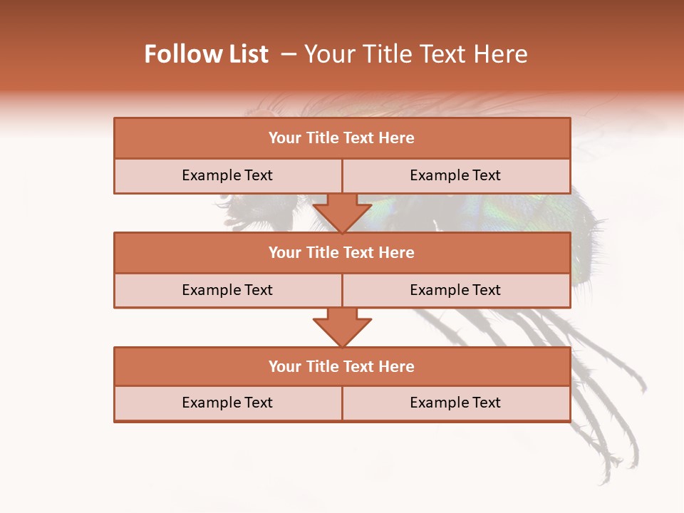 Freely Left Wing PowerPoint Template