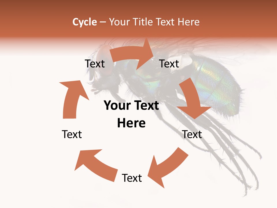 Freely Left Wing PowerPoint Template