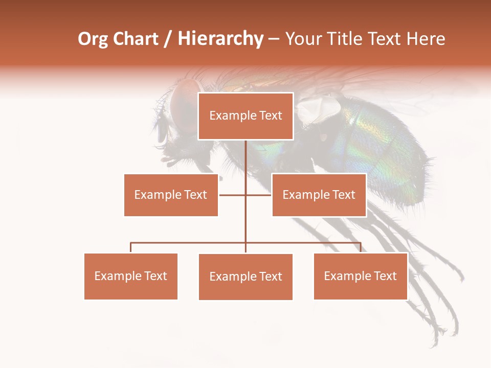 Freely Left Wing PowerPoint Template