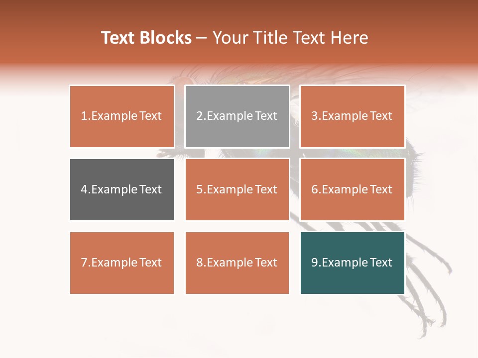 Freely Left Wing PowerPoint Template