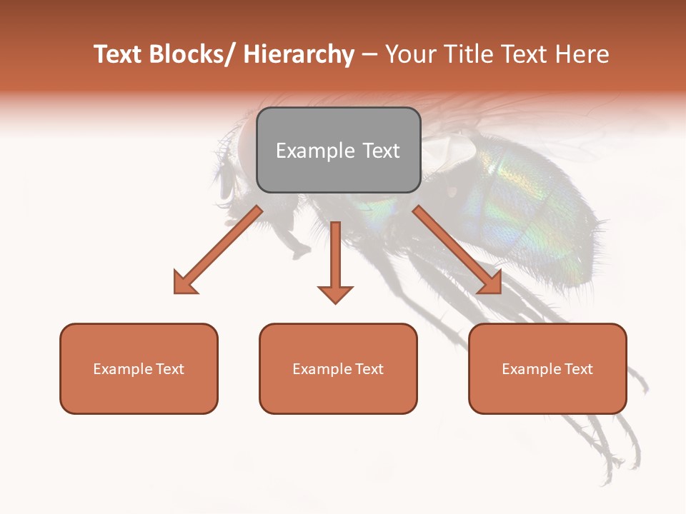 Freely Left Wing PowerPoint Template