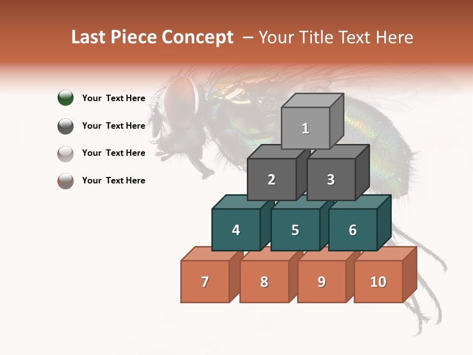 Freely Left Wing PowerPoint Template