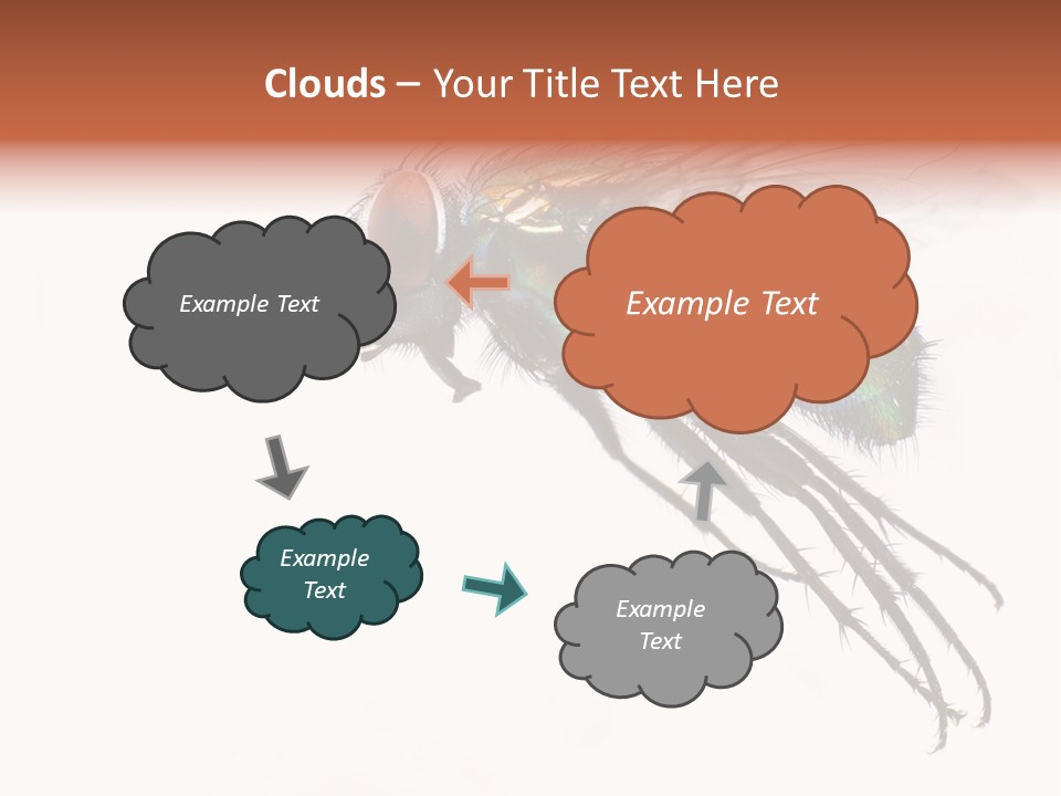 Freely Left Wing PowerPoint Template