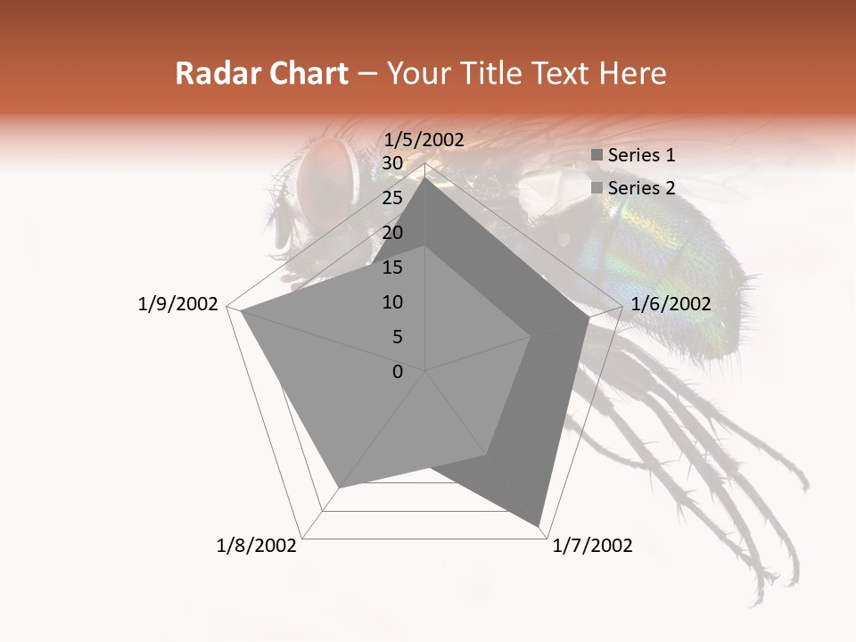 Freely Left Wing PowerPoint Template