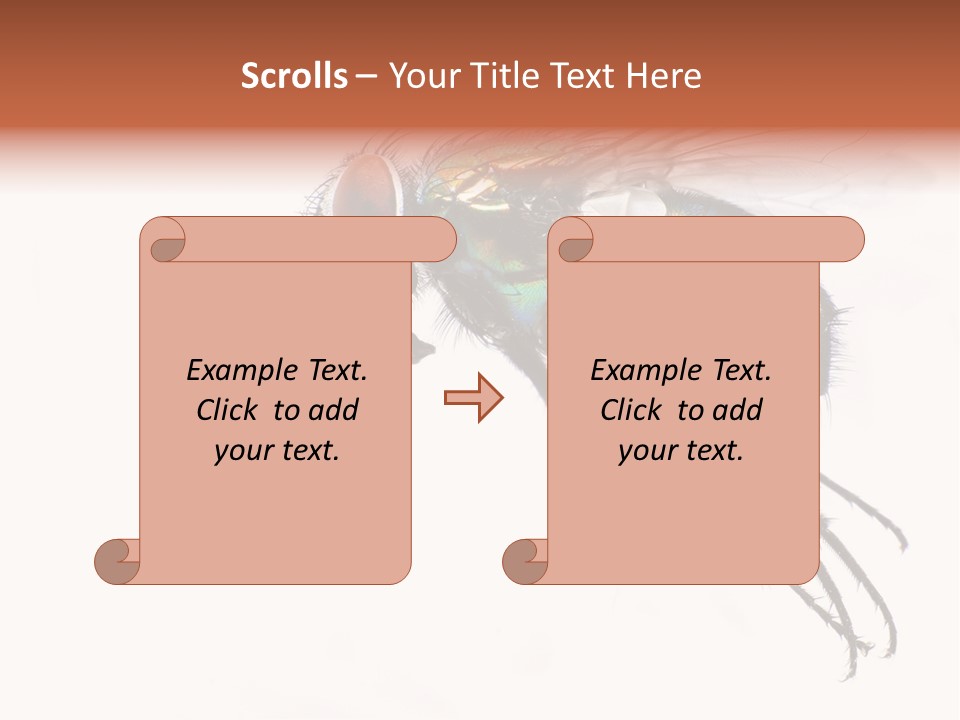 Freely Left Wing PowerPoint Template