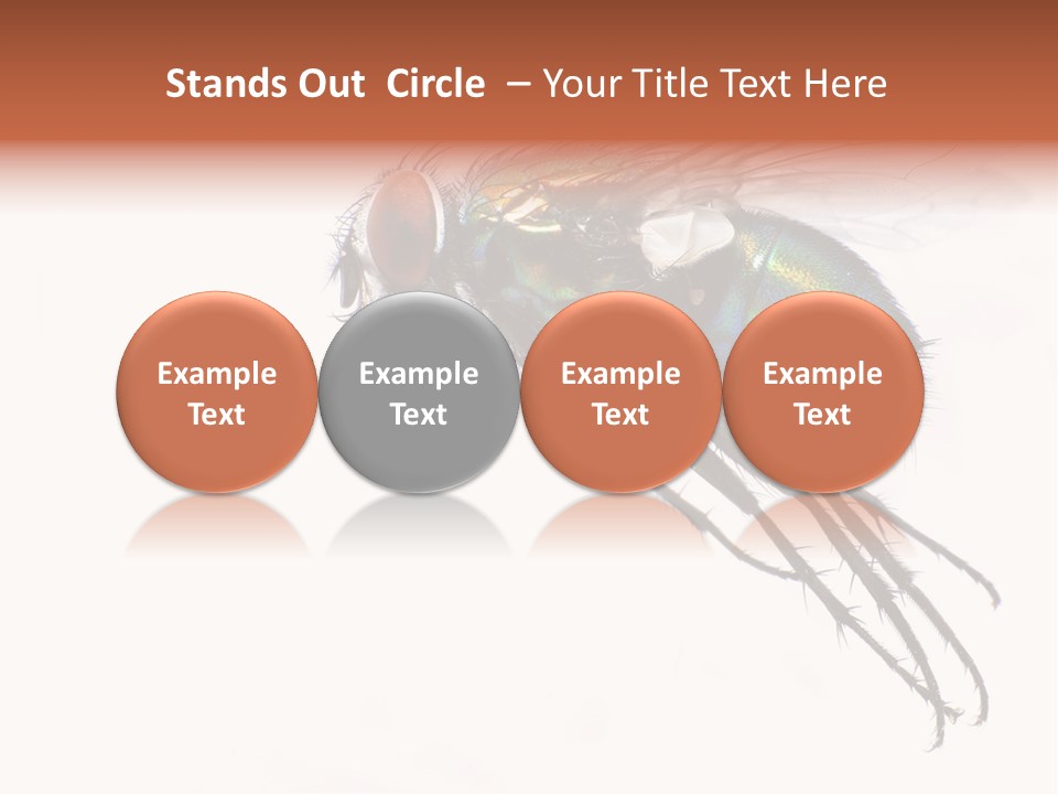 Freely Left Wing PowerPoint Template