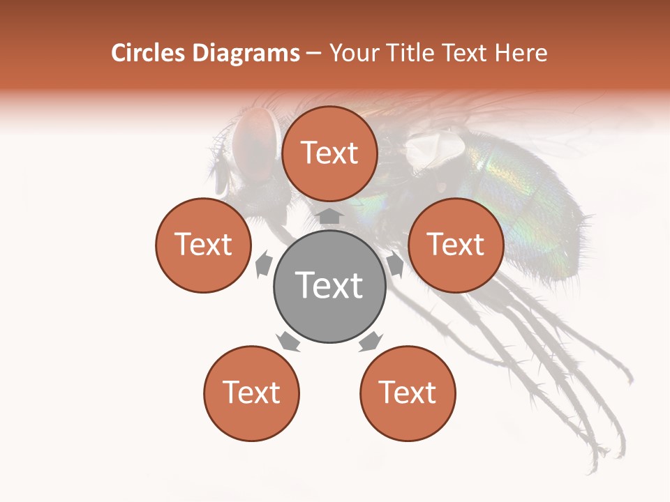 Freely Left Wing PowerPoint Template