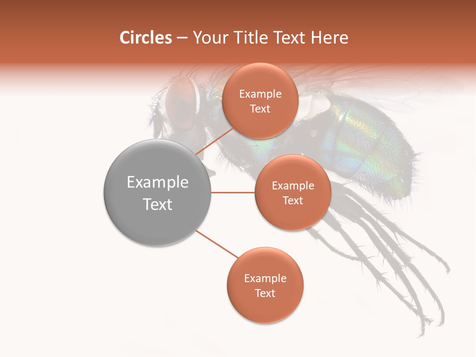 Freely Left Wing PowerPoint Template