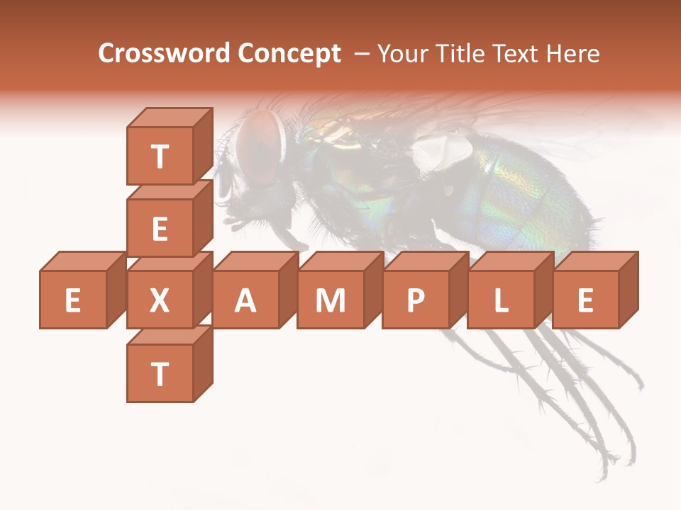 Freely Left Wing PowerPoint Template