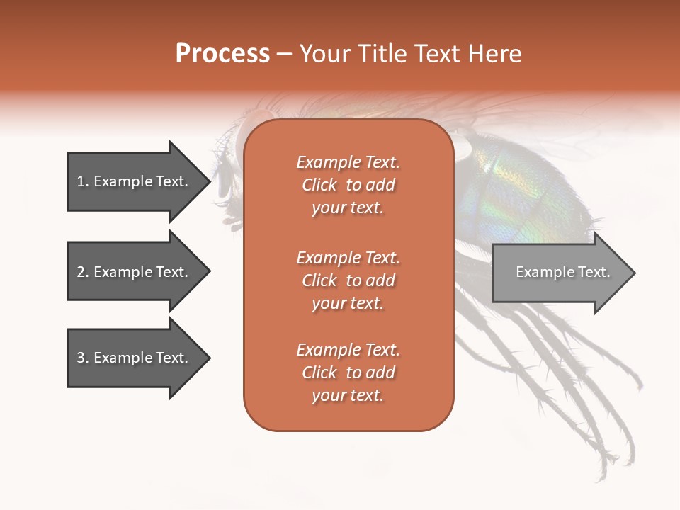 Freely Left Wing PowerPoint Template