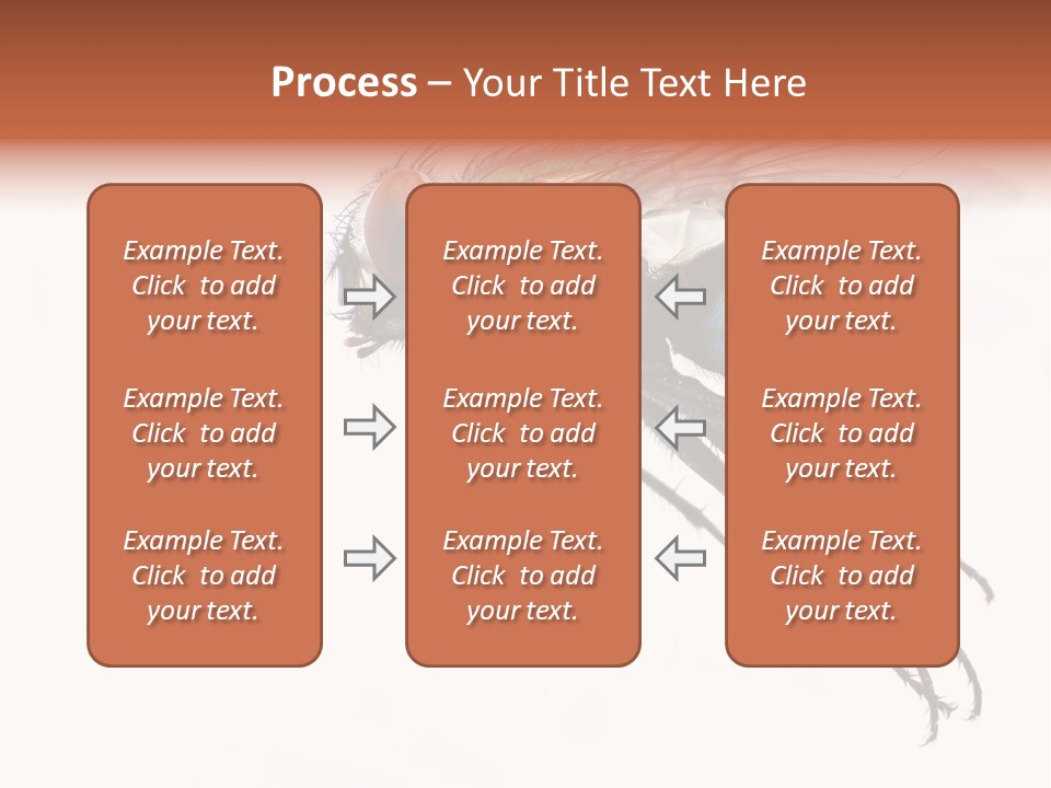 Freely Left Wing PowerPoint Template