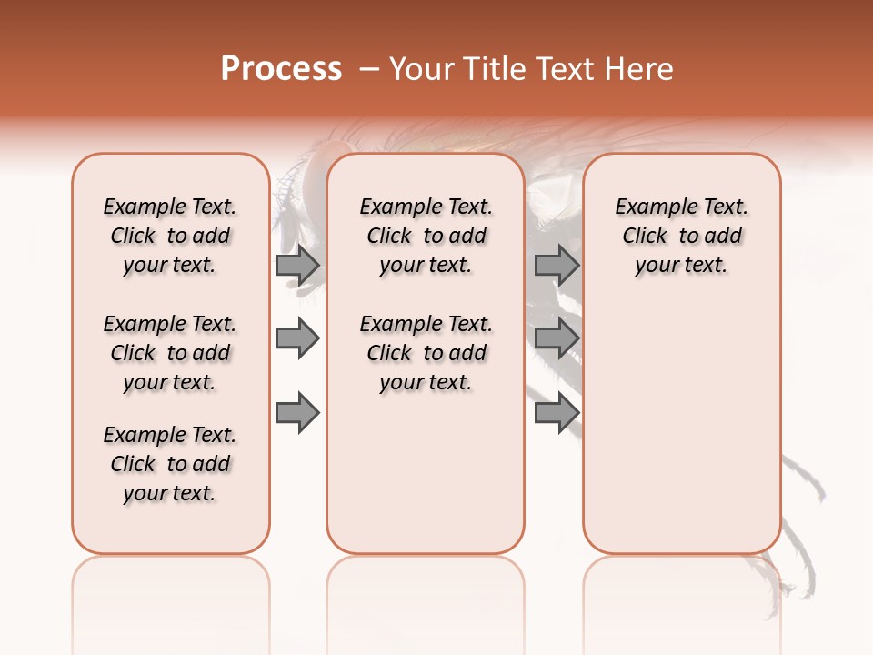 Freely Left Wing PowerPoint Template