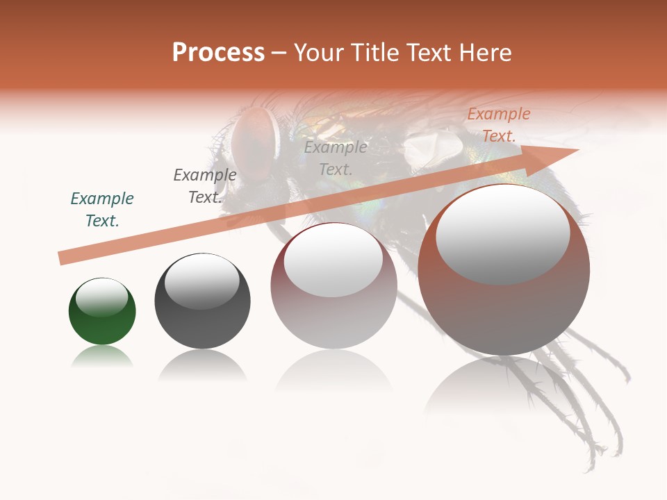 Freely Left Wing PowerPoint Template